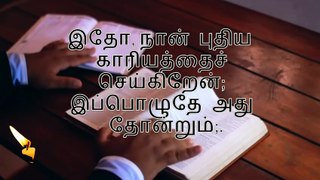 Today bible reading ஏசாயா 43--19