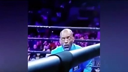 Amazing and funniest moments captured on camera