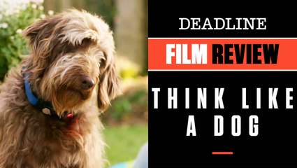 Think Like A Dog | Film Review