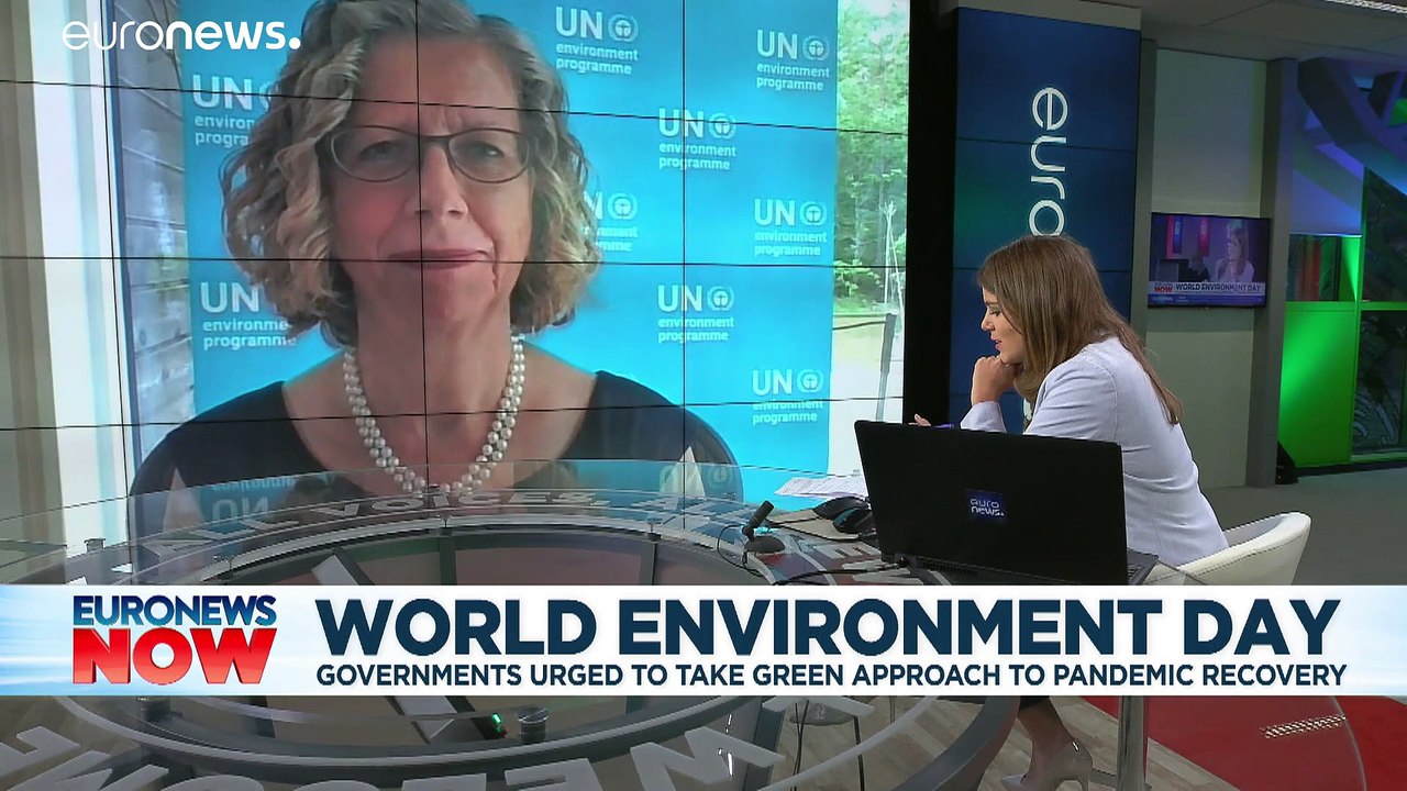 Weltumwelttag:  Coronavirus eine gerechte Strafe für unsere Sünden?