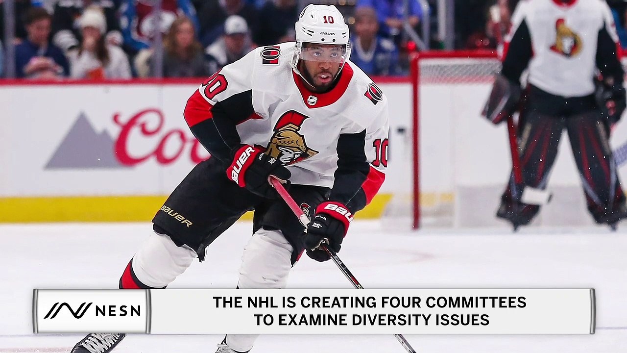 The NHL is Creating Four Committees to Examine Diversity Issues Within the League