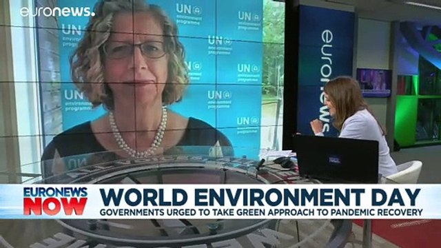 Всемирный день окружающей среды: Время природы