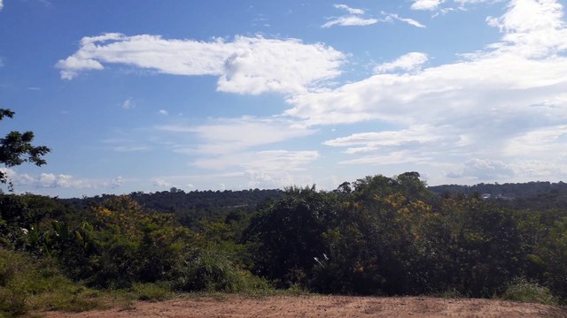 SBEG Spotting]Airbus A320NEO PR-YRR na final antes de pousar em Manaus vindo de Boa Vista