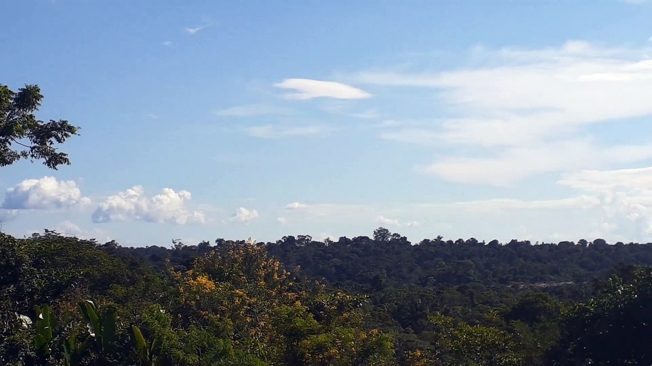 [SBEG Spotting]Boeing 767-300ER PT-MSX na final antes de pousar em Manaus vindo de Belém do Pará