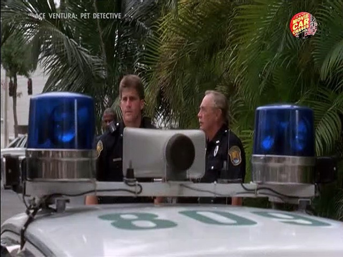 ace ventura pet detective dailymotion