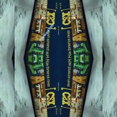 "How to train your fractal 1"