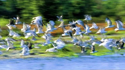 S4 puntata 19 - Parte 2