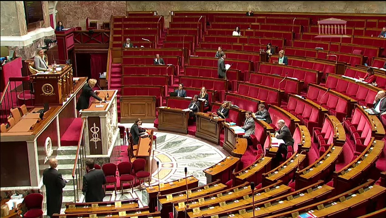 1ère séance : Annulation du second tour des élections municipales et report des élections consulaires - Vendredi 5 juin 2020