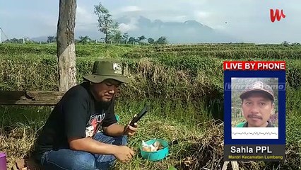 Soal Pupuk dan Benih Kata Pak Mantri