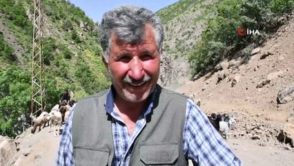 Terörün kökü kazındı, yaylalar şenlendi