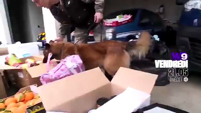 Enquête d'action : Trafics aux frontières de l'Est : les gendarmes en alerte !