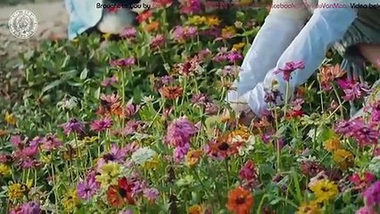 [Vietsub] Hướng Về Cuộc Sống - Đàm Tùng Vận Cut 3