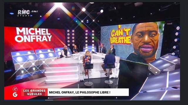 Michel Onfray : les races n’existent pas sauf pour les antiracistes qui estiment que les Blancs ça existe et que les Blancs sont coupables de tout