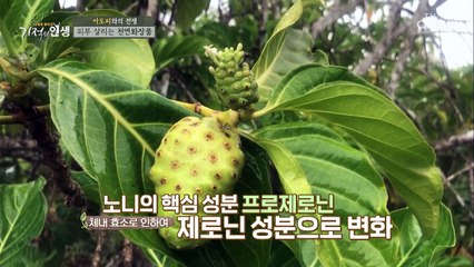 내가 직접 만들어 쓴다!! ‘천연 화장품’ 만들기^^