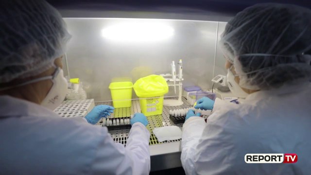 I kërkoi Tiranës të bëjë tamponin, FSHF rebelohet kundër Shëndetësisë: Jeni burokratë të 'paditur'