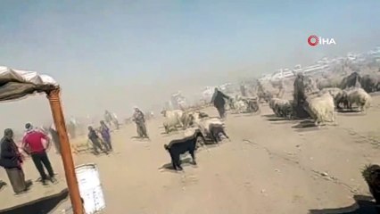 - Tel Halef’de bomba yüklü araç patladı: 7 yaralı