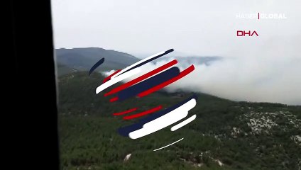 Milas'ta orman yangını