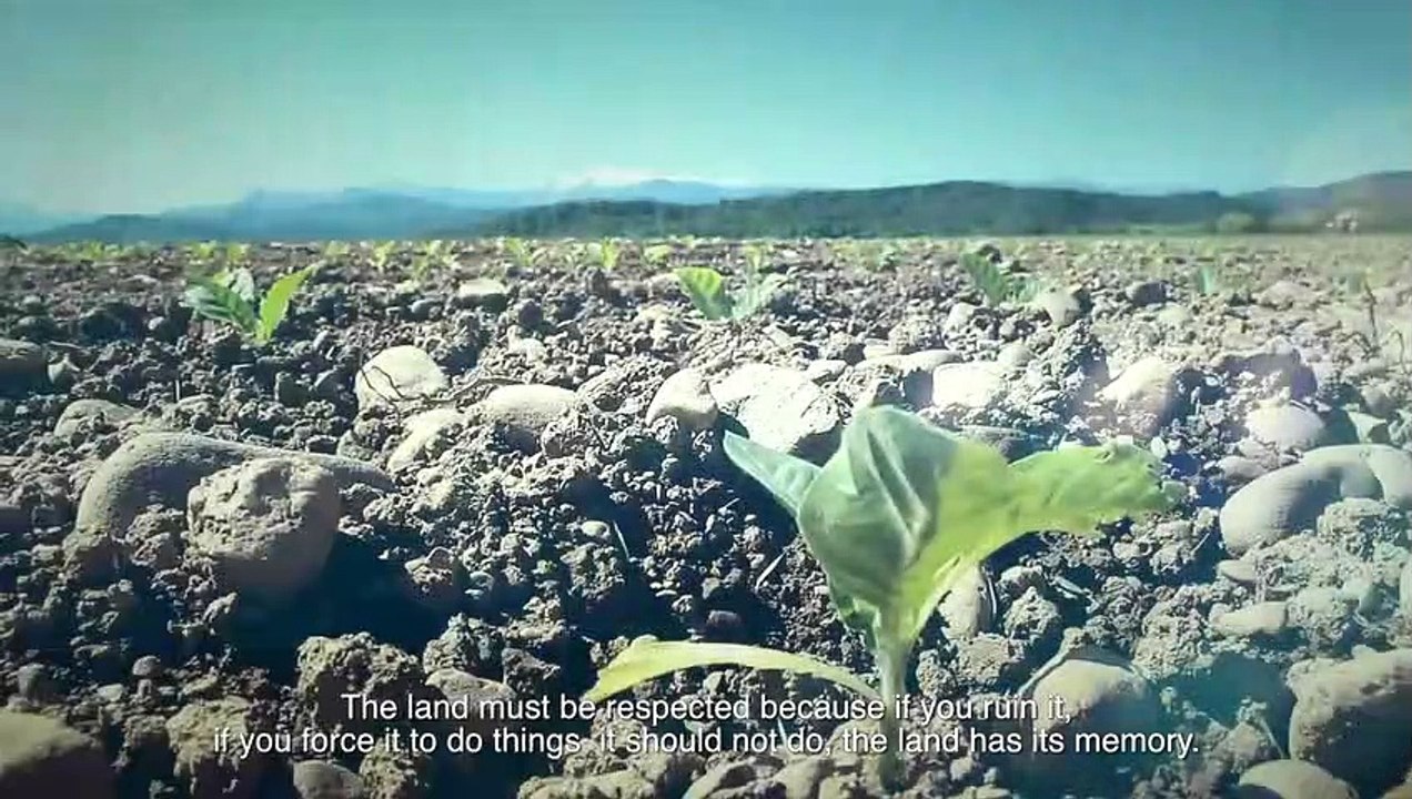 Cigare  made in France à NAVARRENX