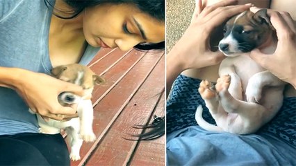 World Environment Day च्या निम्मीत्यावर पूजा सावंतने दिला 'All Lives Matter' हा संदेश