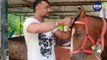 ಕುದುರೆ ಹೇರ್ ಕಟ್ ಮಾಡಿದ ಚಾಲೆಂಜಿಂಗ್ ಸ್ಟಾರ್ ದರ್ಶನ್ | Darshan Grooming his Horse | Filmibeat Kannada