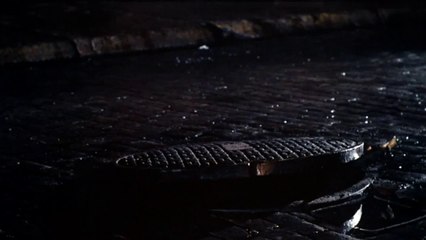 Trump CHUD - you the racist!