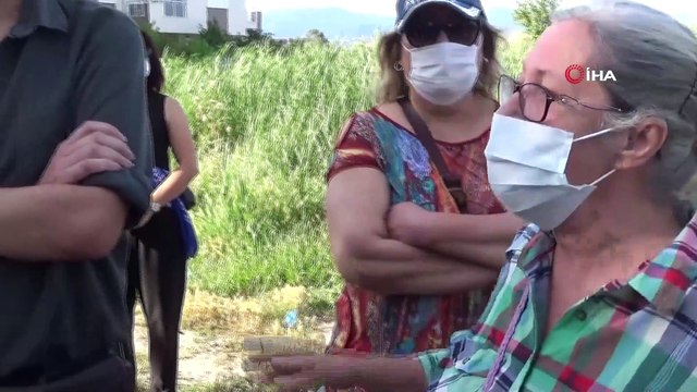 Sokak hayvanlarını besleyen kadının ölümle tehdit edildiği görüntüler büyük tepki çekti