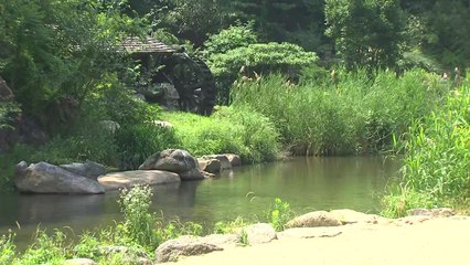 [날씨] 내륙 30℃ 더위 계속...영서·경북 소나기 / YTN