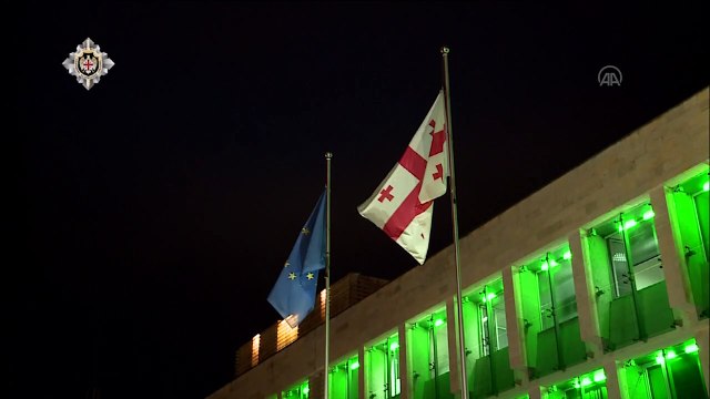 Gürcistan'a yasa dışı yollarla giren 9 Türk gözaltına alındı - TİFLİS