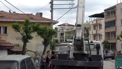 Çocukların ağaca takılan oyuncağı belediye ekiplerince kurtarıldı - BALIKESİR