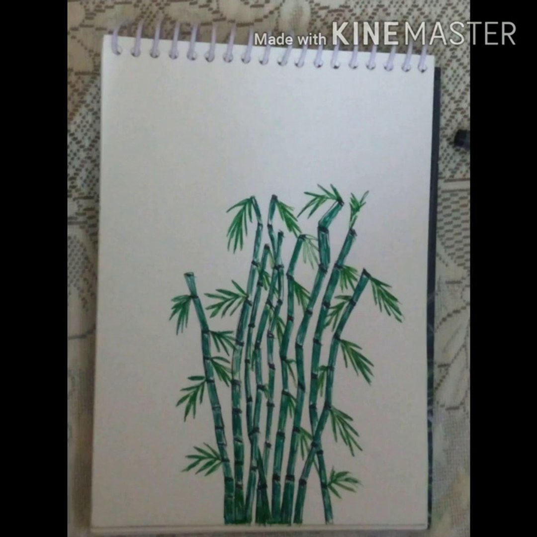 bamboo drawing