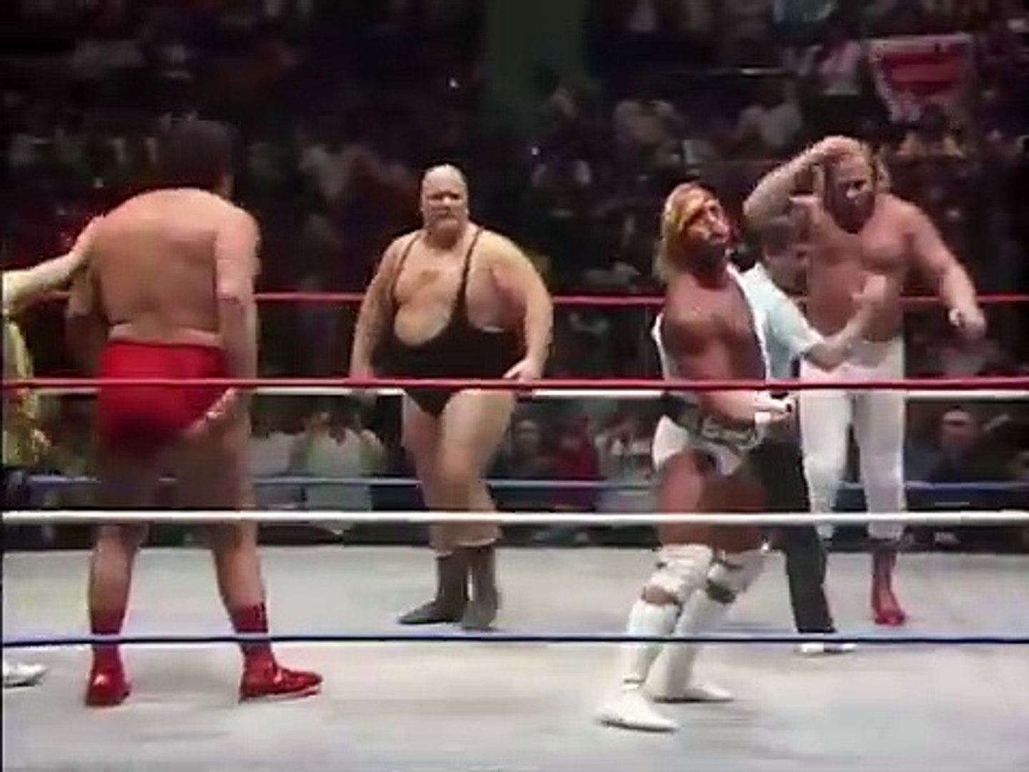 Hulk Hogan/Andre the Giant vs. King Kong Bundy/Big John Studd 
