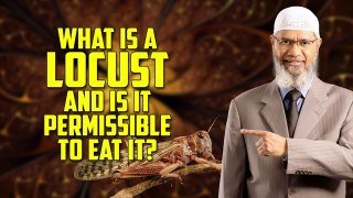 What is a Locust and is it permissible to eat it? – Dr Zakir Naik
