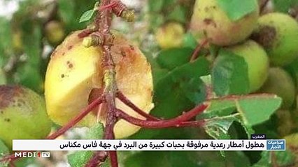 صباحيات الأخبار - 07/06/2020