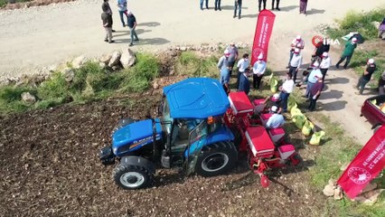 Yerli ve milli mısır tohumu 'Hacıbey' toprakla buluştu