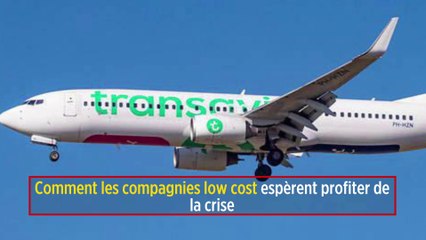 Comment les compagnies low cost espèrent profiter de la crise