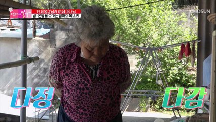 (남편 씁쓸) 엄마 사랑 독차지한 길냥이 나미 