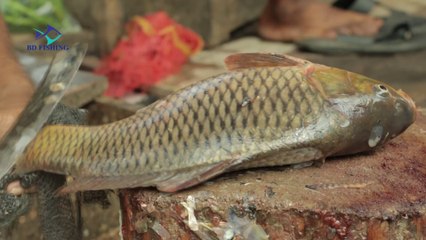 Amazing golden curp fish video of cutting extremely delicious fish from the sea
