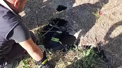 Mahsur kalan yavru köpeği itfaiye ekibi kurtardı