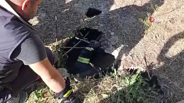 Mahsur kalan yavru köpeği itfaiye ekibi kurtardı