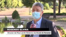 El Real Jardín Botánico de Alcalá reabre con medidas seguridad y prevención
