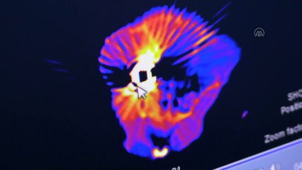 Saçmayla yaralanan sincap tedaviye alındı - MUĞLA