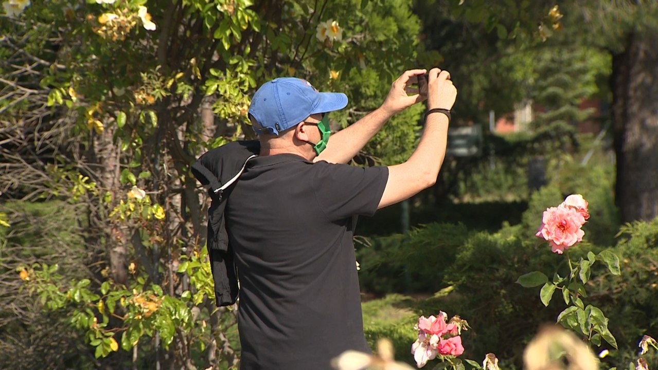 El Real Jardín Botánico de Alcalá reabre con medidas seguridad y prevención
