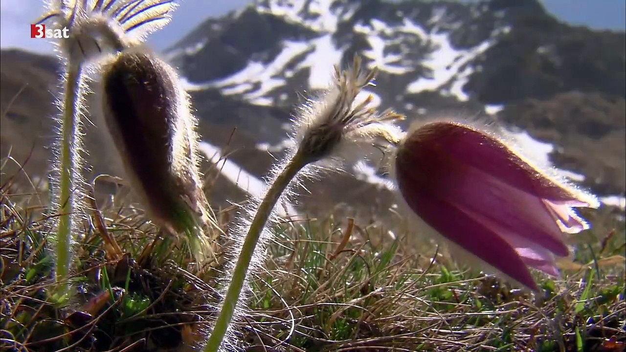 3Sat Doku - Dolomiten - Sagenhaftes Juwel der Alpen Teil 2-2