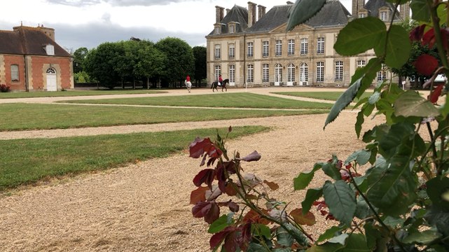 Le haras du Pin accueille les visiteurs par des pastilles équestres