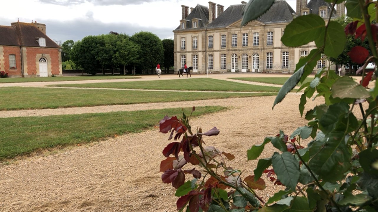 Le haras du Pin accueille les visiteurs par des pastilles équestres