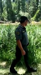 Seprona y guardia civil buscan el cocodrilo avistado en Simancas (Valladolid)