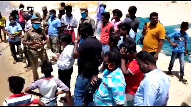 Carcass of 12-foot long female whale shark washed ashore in southern India