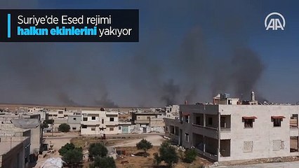 Katliamlara doymayan zalim Esed, şimdi de halkını açlıktan öldürmek için ekili alanları yakıyor