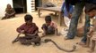 Ces enfants indiens jouent avec des serpents comme si c'était des petits chats