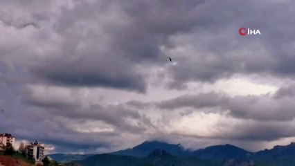 Tunceli'de bir ayda 2'si ödüllü listede, 10 terörist etkisiz hale getirildi